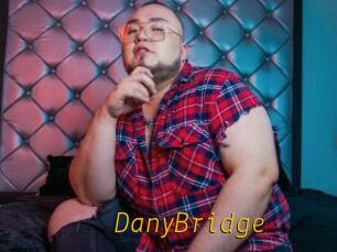 DanyBridge