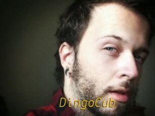 DingoCub