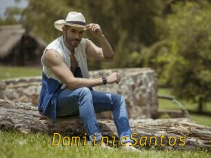 DomiinicSantos