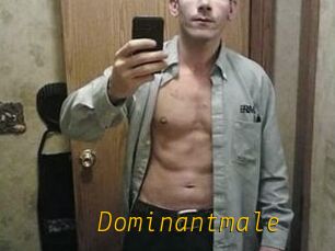 Dominantmale