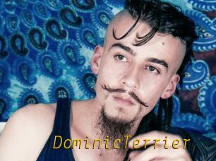 DominicTerrier