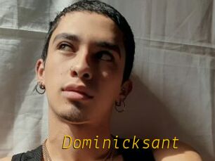 Dominicksant