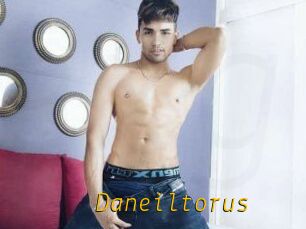 Daneil_torus