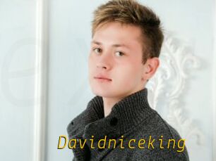 Davidniceking
