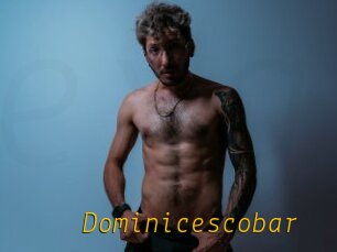 Dominicescobar