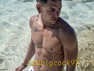 Eddbigcock97