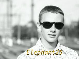Elephant25