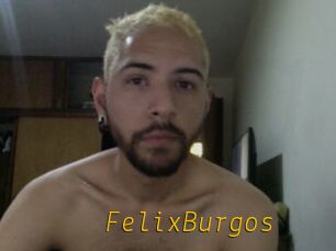 FelixBurgos