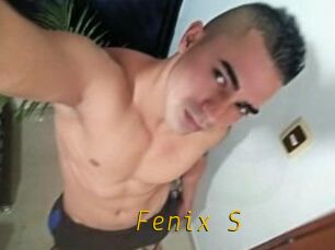 Fenix_S