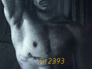 Fr2393