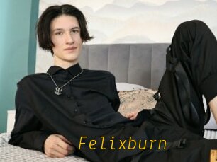 Felixburn