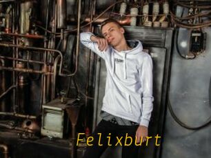 Felixburt