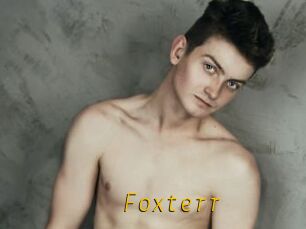 Foxterr