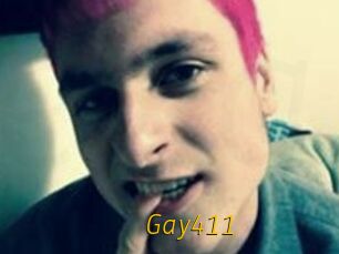 Gay411