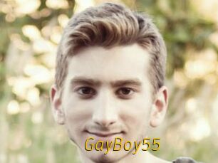 GayBoy55