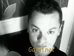 Gayminet