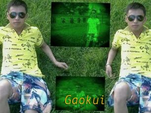 Gaokui