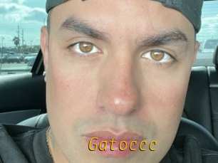 Gatoccc