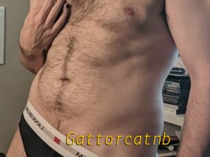 Gattorcatnb