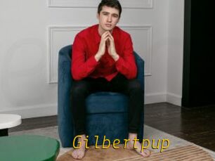 Gilbertpup