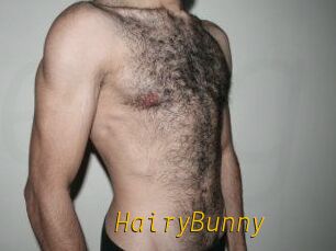 HairyBunny
