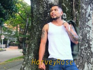 HarveyRose
