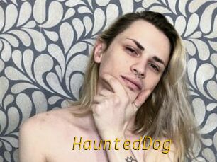 HauntedDog