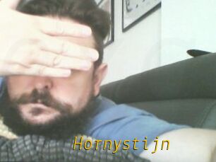 Hornystijn