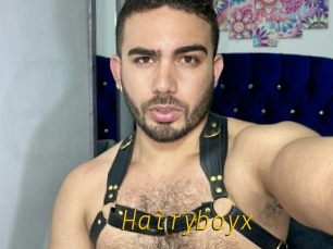 Hairyboyx