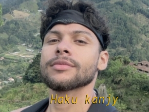 Haku_kanjy