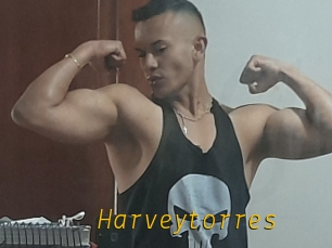 Harveytorres