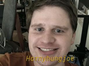 Hornyhungjoe