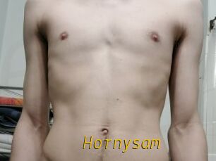 Hornysam