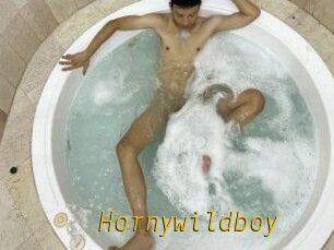 Hornywildboy