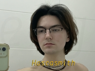 Hoscasmith