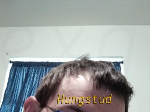 Hungstud
