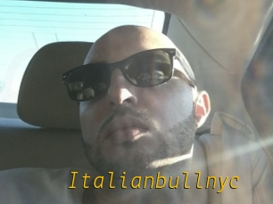 Italianbullnyc
