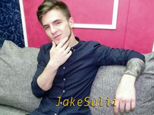 JakeSulii