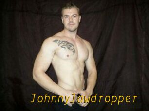 JohnnyJawdropper