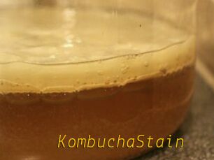 KombuchaStain