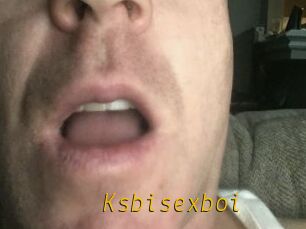 Ksbisexboi