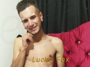 Lucho_Fox