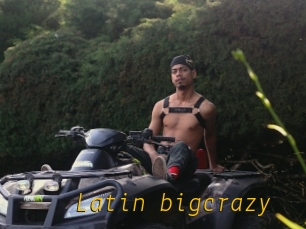 Latin_bigcrazy