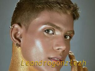 Leandrogonzlezh