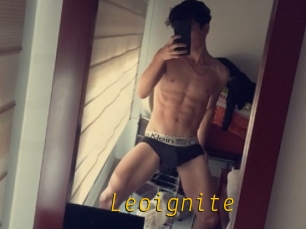 Leoignite