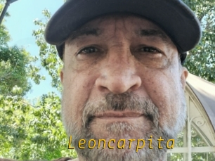 Leoncarpita