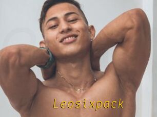 Leosixpack