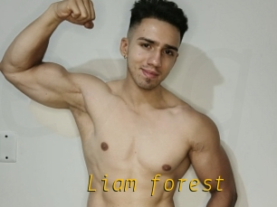 Liam_forest