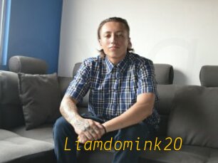Liamdomink20