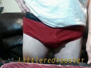 Littleredrooster